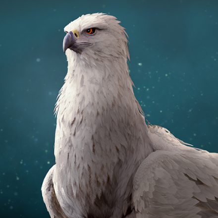 Profile picture of SIERRA124